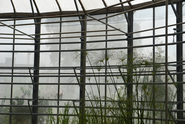 Die Auswahl des Winterquartiers