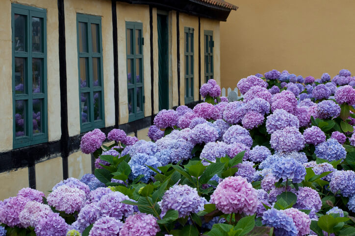 Die Auswahl des optimalen Standortes