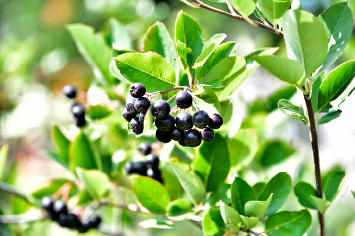 Die Auswahl des optimalen Standortes