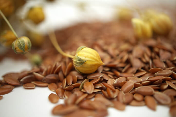 Die richtige Aussaat