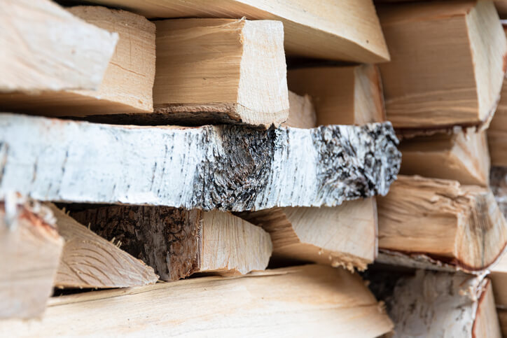 Die richtige Lagerung von Birkenholz