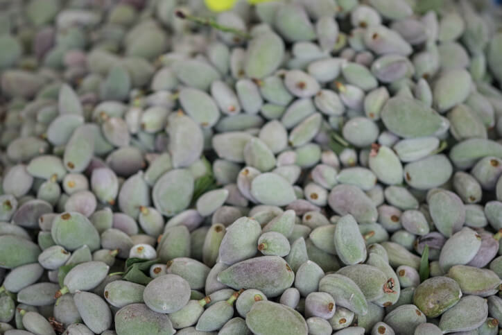 Erkennungsmerkmale von Bittermandeln