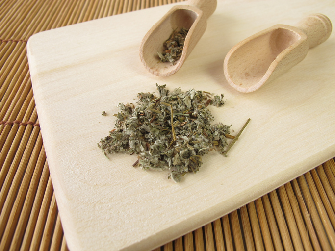 Fingerkraut – Heil- statt Giftpflanze