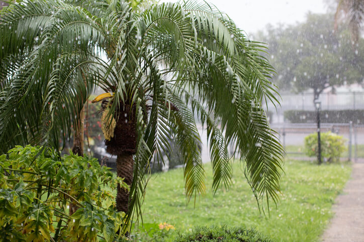 Geeignete Temperaturen im Winter