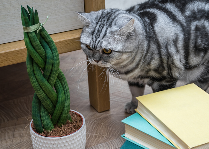 Gefahren für Menschen und Tiere