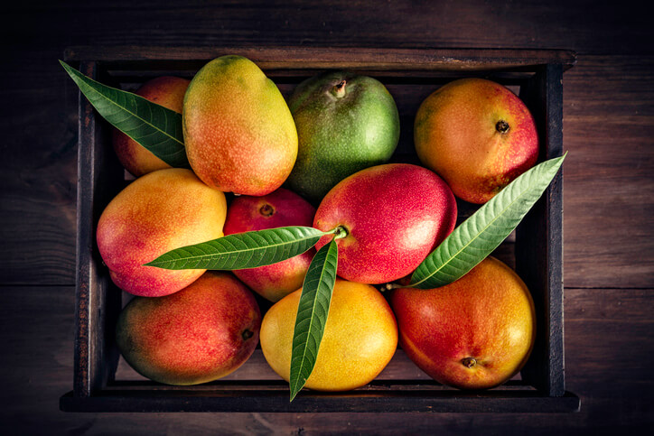 Herkunft der Mango