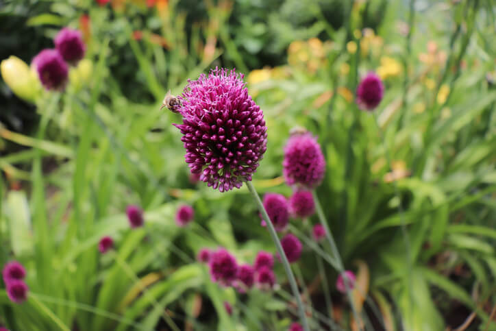 Ideale Bodenverhältnisse