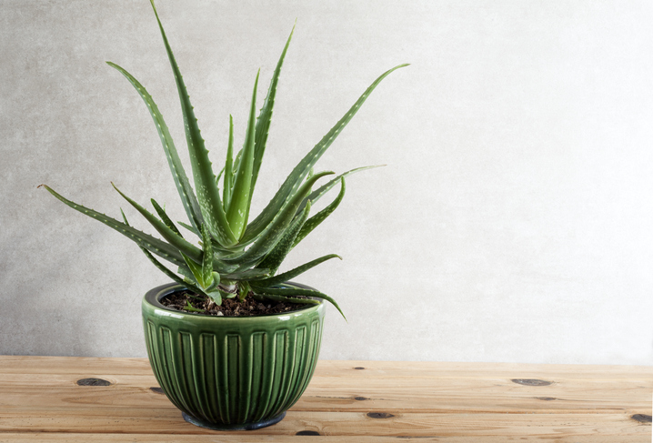 Ideale Zimmertemperaturen