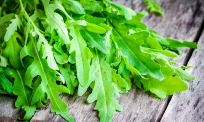 Ist Rucola für Menschen und Tiere giftig