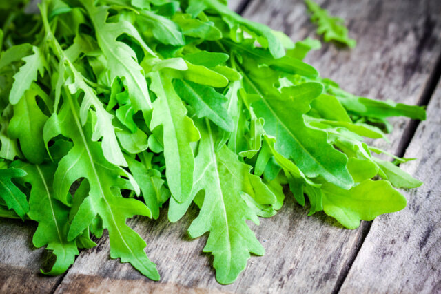 Ist Rucola für Menschen und Tiere giftig