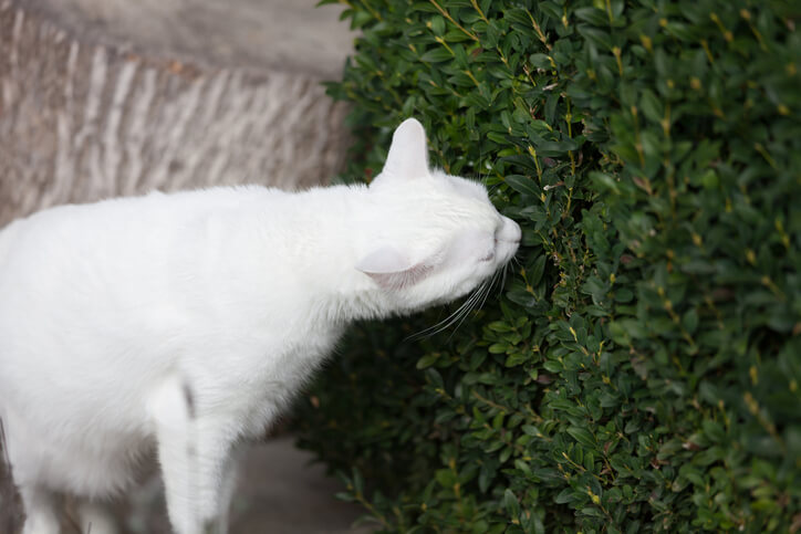 Maßnahmen bei einer Vergiftung