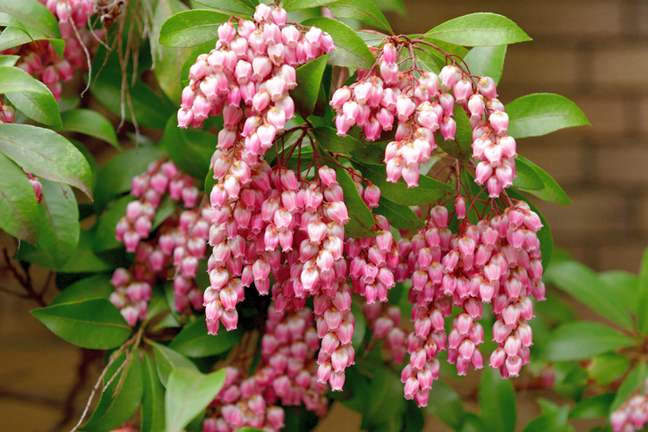 Mögliche Symptome einer Vergiftung