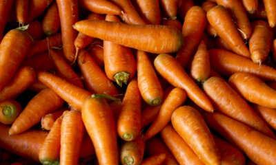 Möhren überwintern - wie lagern Sie Karotten richtig