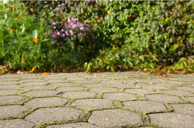 Natron gegen Moos - so setzen Sie den Stoff richtig ein!