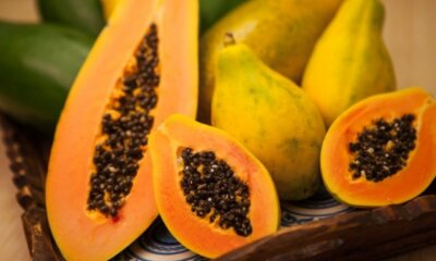 Papaya - dürfen Hunde dieses exotische Obst fressen