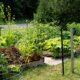 Permakultur im Hausgarten - Planung, Vorbereitung und Durchführung