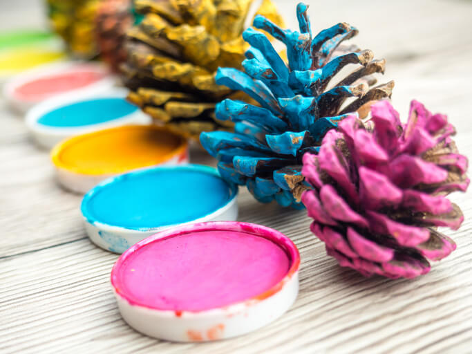 Sammeln und Verwerten von Kiefernzapfen