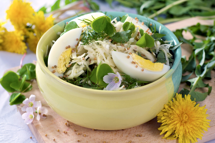 Sauerklee in der Küche