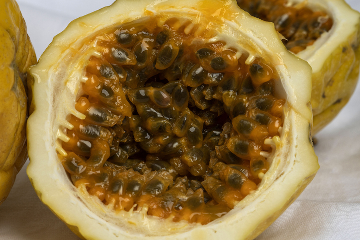 Sicherste Methode - Befruchtung per Hand