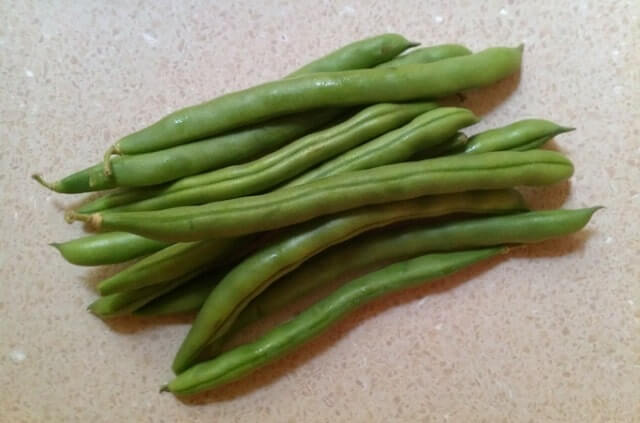 Sind rohe Bohnen giftig