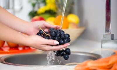 Trauben richtig waschen - Vorbereitung für den Verzehr