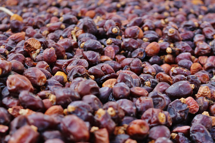 Trocknen von Datteln an der Luft