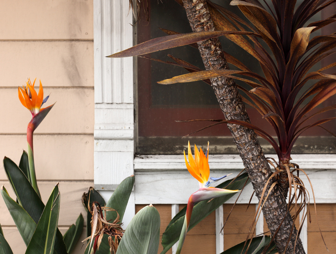 Ungünstiger Standort