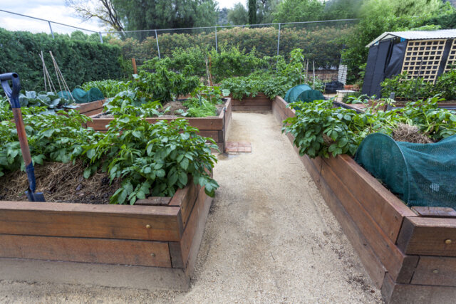 Vorbereitung des Gemüsebeetes - was zu Saisonbeginn zu tun ist