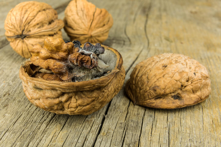 Vorsicht bei schimmeligen Walnüssen