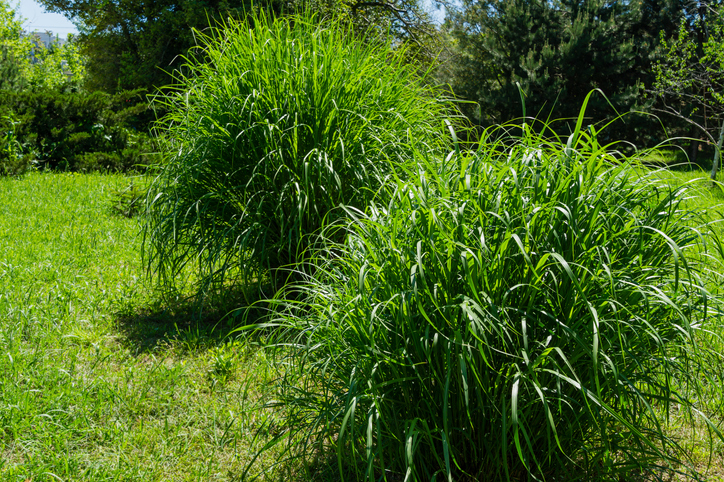 Vorteile der Teilung