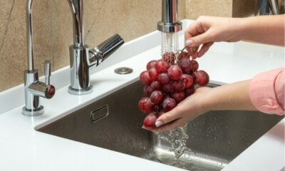 Weintrauben - so werden sie richtig gewaschen!