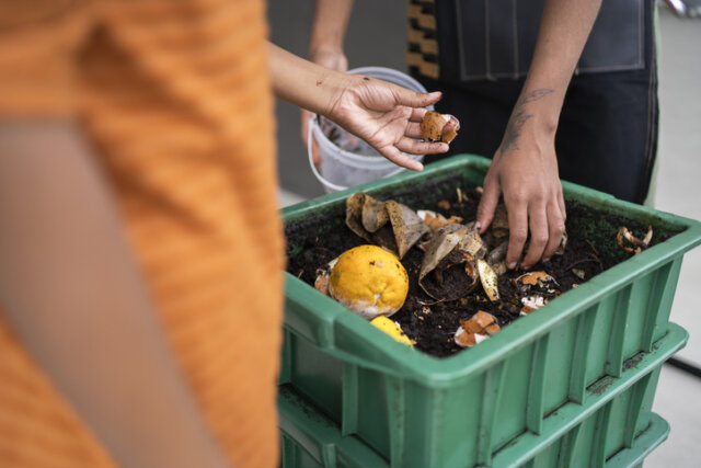 Welche Kompost-Temperatur ist ideal