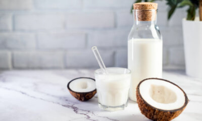 Wie kann man Kokosmilch einfrieren