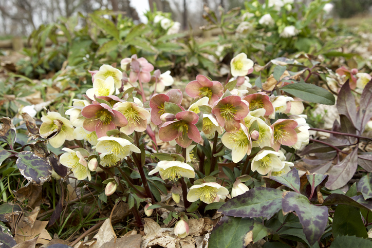 Benötigte Bodenverhältnisse