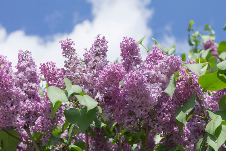 Bevorzugte Standorte