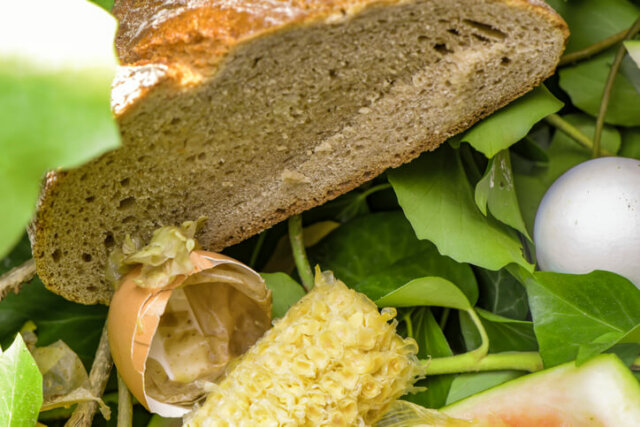 Brot entsorgen - so kompostieren Sie es richtig!