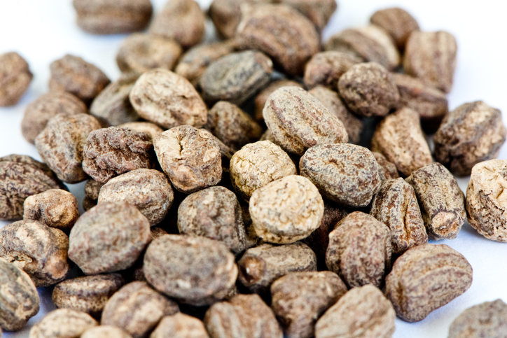 Der ideale Zeitpunkt für die Aussaat