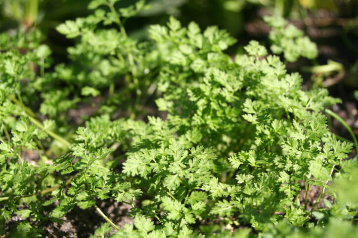 Der passende Standort