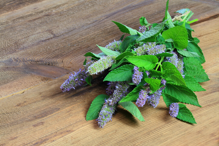 Der richtige Zeitpunkt und die korrekte Vorgehensweise