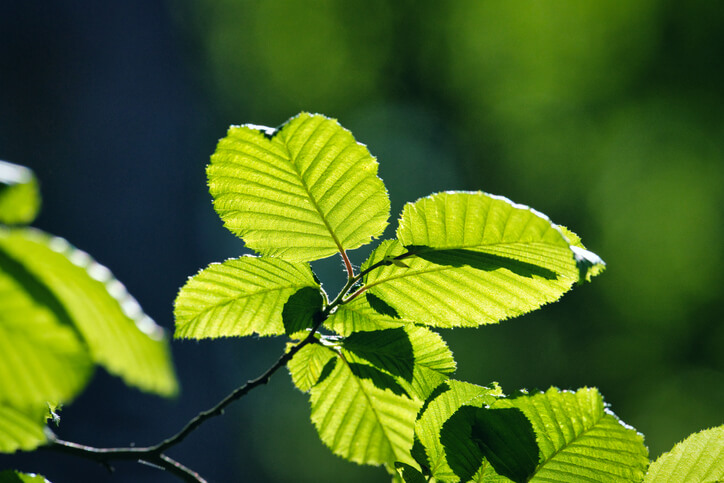 Der richtige Zeitpunkt