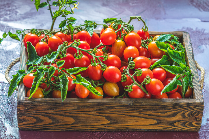 Gesundheitsvorteile von Tomaten