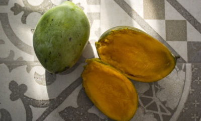 Mango - Ursachen und vorbeugende Maßnahmen für braunes Fruchtfleisch