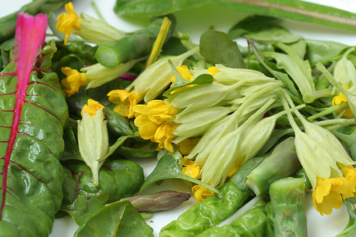 Nutzbarkeit der Blüten