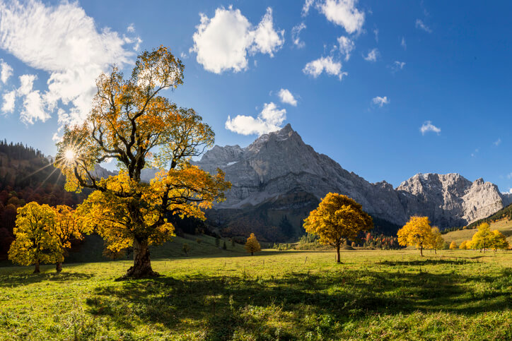 Passende Bodenverhältnisse