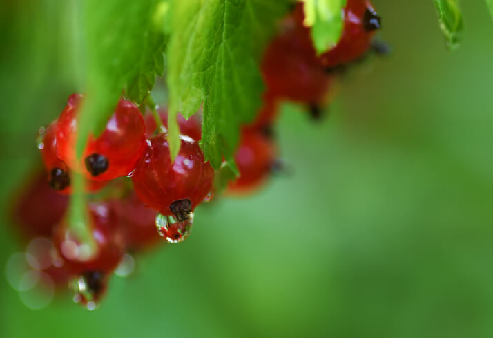 Versorgung mit Wasser