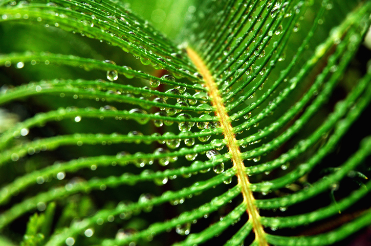 Versorgung mit Wasser
