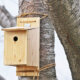 Vogelhaus - richtige Befestigung