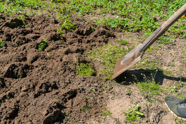 Vorbereitung der Rasenfläche