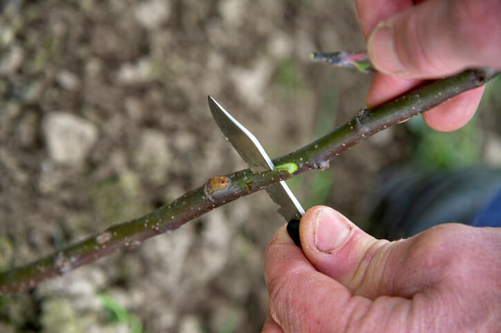Das richtige Werkzeug
