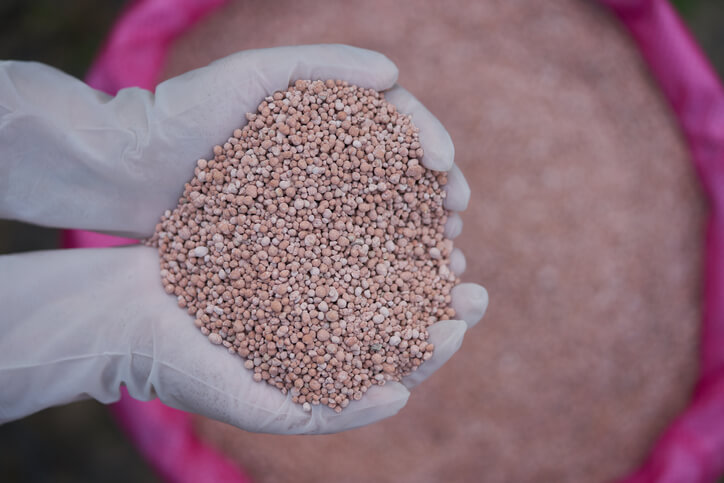 Korrekte Düngung von Topfpflanzen